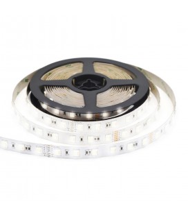 CINTA LED 14.4W/M 4300K 12V IP20