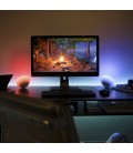 PHILIPS HUE GO LUZ AMBIENTE PORTÁTIL