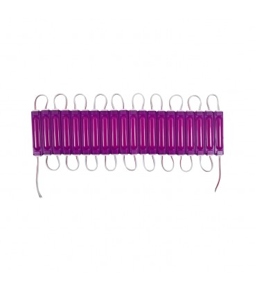 TIRA DE 20 MÓDULOS LED STUDIO 2W LUZ MAGENTA 12V