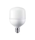 AMPOLLETA ALTA POTENCIA PHILIPS 50W E40 6500K 100-240V A125 ARG / Ø140X230MM