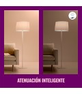 AMPOLLETA INTELIGENTE FILAMENTO E27 A60 WIZ 60W LUZ CÁLIDA A LUZ FRÍA